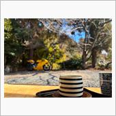 自宅-さくら茶屋-自宅