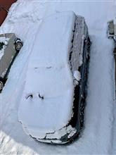 皆さん、こんにちは〜😀今日も雪☃️降ったり止んだりでした…😰