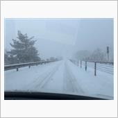 さらに凄い雪☃️