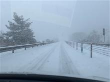 さらに凄い雪☃️