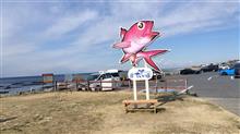 福田屋名誉総裁様と一緒にだいぼのおじさんに会いに行こう🐟️