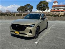 2年半で数万台の市場開発を経て，ようやく市販できる車になったかもしれない