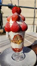 春です！イチゴです！