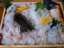 石垣鯛のお刺身〜😋