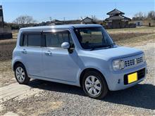 2025年いちご農業体験７回目、収穫！（つくば市農産物オーナー制）