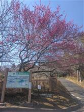 色々と作業の確認事項の遂行~♪ 色々と作業の確認事項の遂行~♪