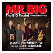MR.BIG The BIG ...