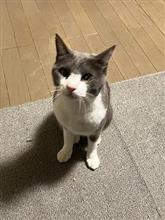 仕事の体制