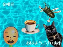 朝の一杯　2/28