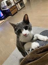 冷静に考えてはイケナイ(^◇^;)