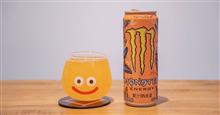 みんカラ：モニターキャンペーン【レインモンスタースライダー】