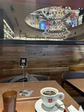 きょうのillyはひな壇席です
