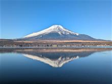 素敵な写真が撮れました。
