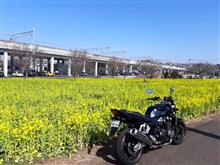 春の初日、暖かな週末