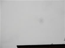 ３月３日　３月の仕事が始まる月曜日、おはよ～♪
