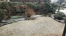 大粒の雪～詐欺電話