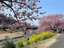 2025.03.02 第27回 みなみの桜と菜の花まつり