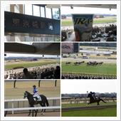 東京競馬場