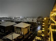 初冠雪