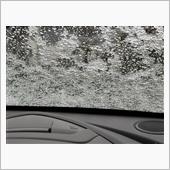 雪降った
