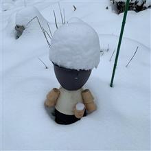 3月5日→今日も雪