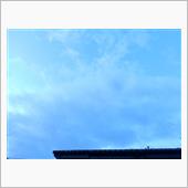 ３月６日　天気は回復傾向な木 ...