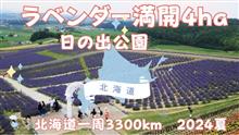 4ヘクタールのラベンダーが満開【日の出公園・富良野・北海道】人気スポット観光　2024年7月