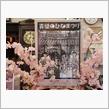 🎎春の予感 第一章『真壁のひなまつり編🎎
