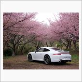 休もう！９９１で伊豆・河津桜へ