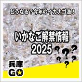 どうなる❓『イカナゴ漁』