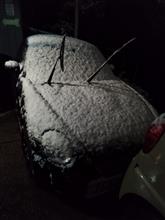 雪