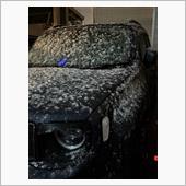 ボタ雪