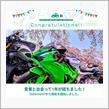 愛車と出会って1年！