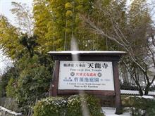 半年ぶりに京都へ…【京都観光編②天龍寺】
