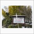 半年ぶりに京都へ…【京都観光編②天龍寺】