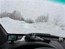 ski #36  降雪に負ける...