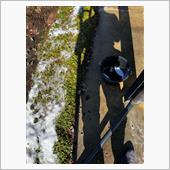 春の雪のあと