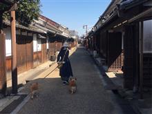 ワンコと奈良橿原　今井町
