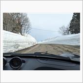 待ちに待った「春」