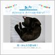 祝・みんカラ歴16年！
