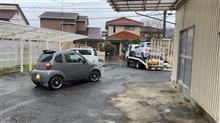 セルボーだけの生活