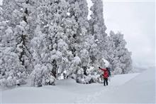 山行日記 2025.3.8　氷ノ山⛄