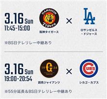 今日も楽しみ。