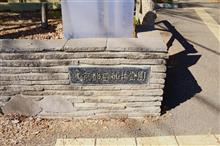 練馬区　石神井公園