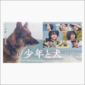 多面的な『少年と犬』