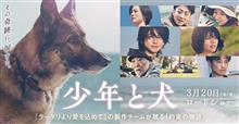 多面的な『少年と犬』 多面的な『少年と犬』