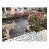出撃致します(・∀・)ノ