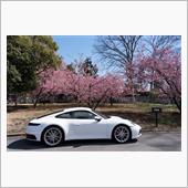 河津桜は近所で済ませました。