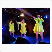 「NEW SQUASH vo ...