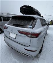 雪に埋まる・・・・